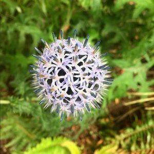 Meet your Posher, Feliz